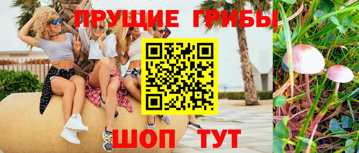 Псилоцибиновые грибы GOLDEN TEACHER  Вход с VPN  Зеленокумск 